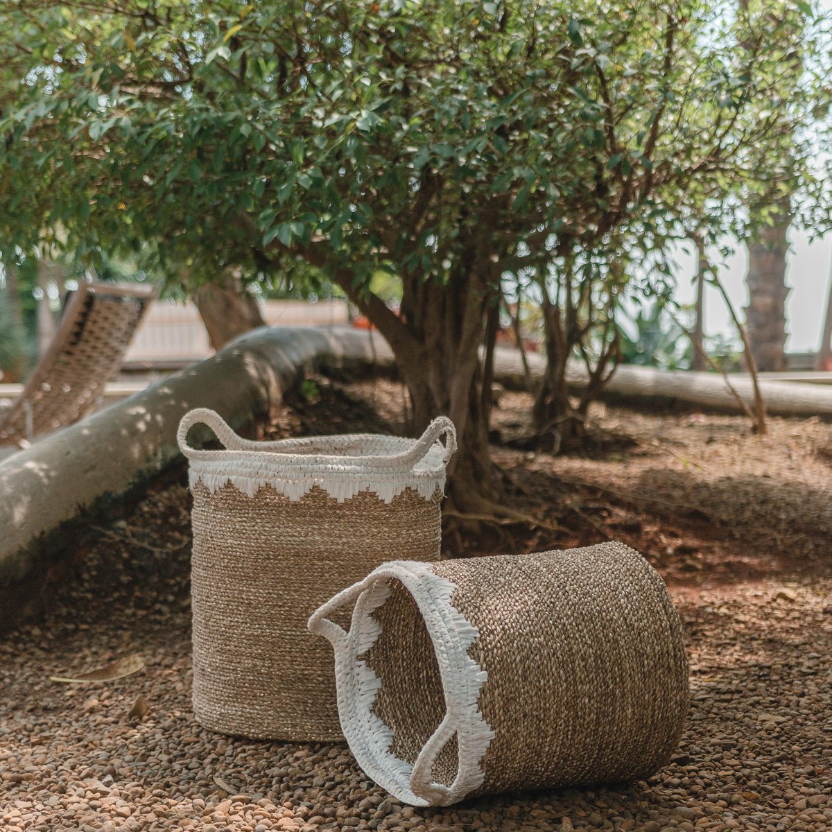 Large Laundry Basket Round Storage Basket Plant Basket Woven from Natural Fibres NIAS white (2 sizes)